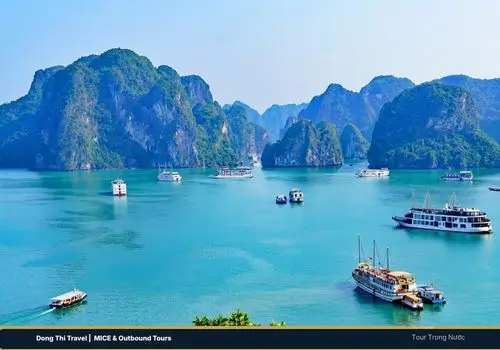 Du lịch Việt Nam Dong Thi Travel