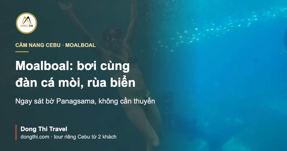 Moalboal: bơi cùng đàn cá mòi và rùa biển, đi thế nào