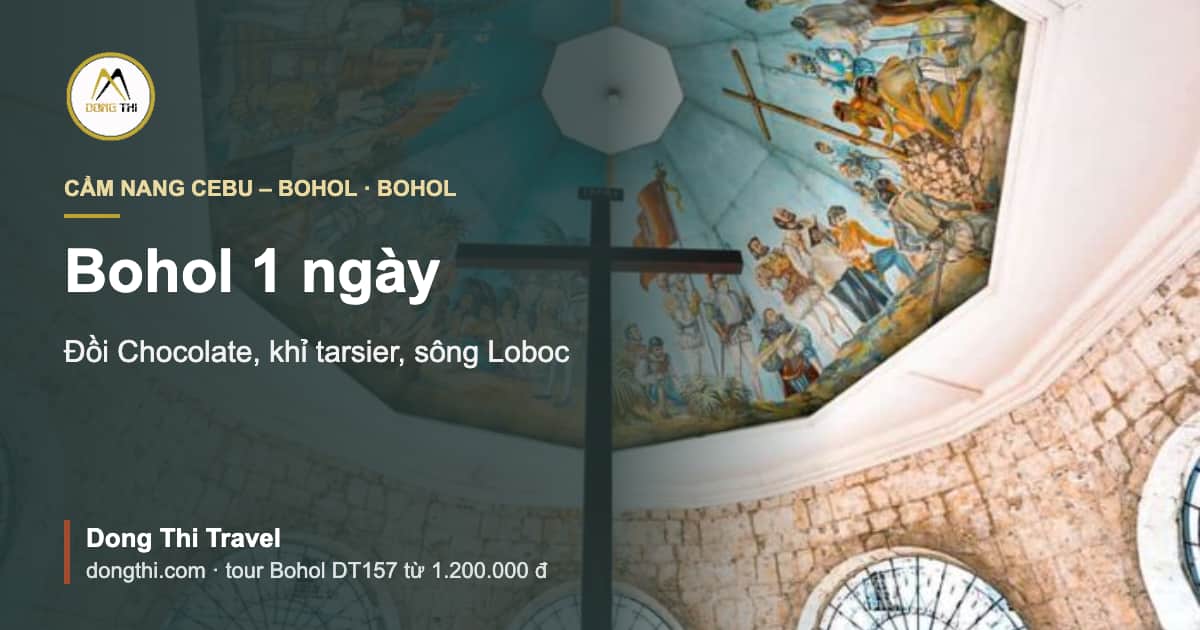 Bohol 1 ngày: đồi Chocolate, khỉ tarsier, sông Loboc