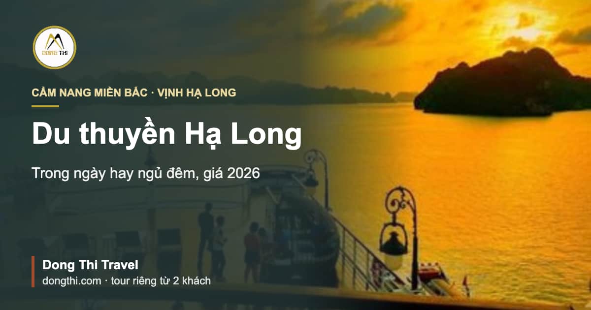 Du thuyền Hạ Long: đi trong ngày hay ngủ đêm, giá 2026