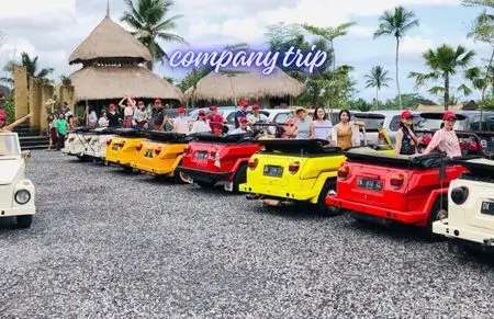 Tour Company Trip - Dong Thi Travel