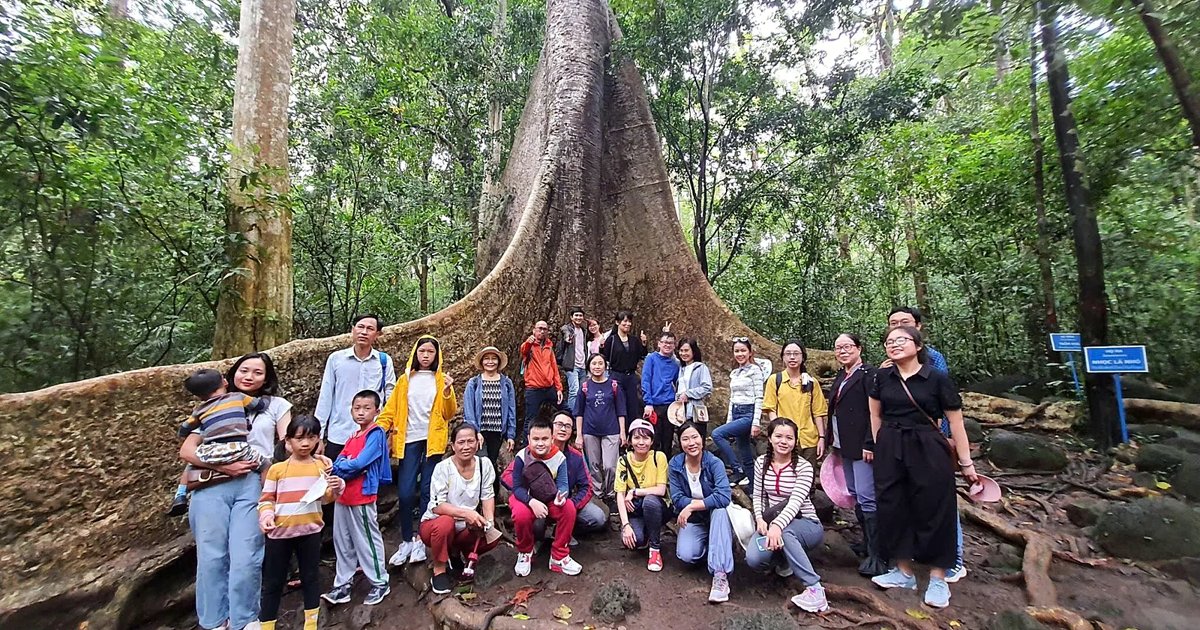 Tour công ty Nam Cát Tiên 2N1Đ: rừng, xem thú đêm
