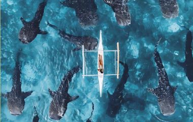 Cebu và Bohol