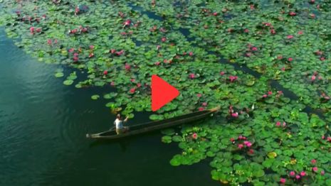 Mindanao, Philippines