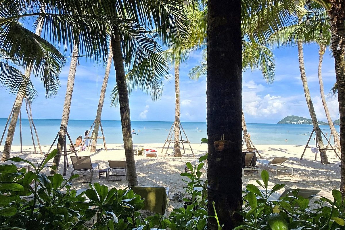 Beach with palm trees on Phu Quoc island