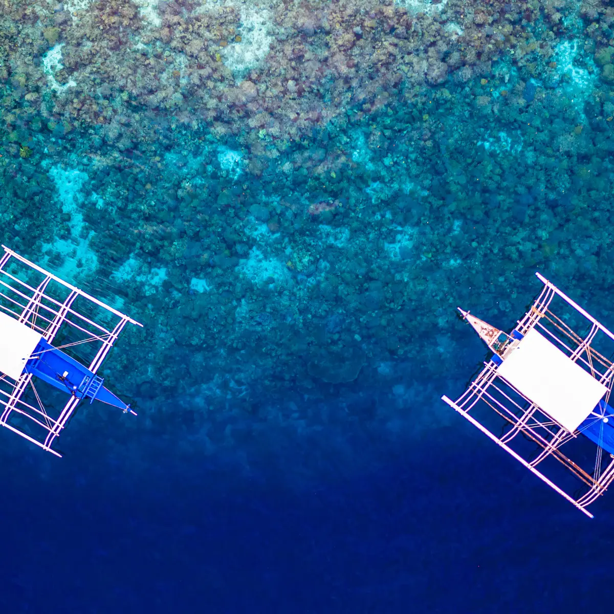 Hai thuyền bangka neo trên rạn san hô nước trong ở vùng biển Cebu, chỗ khách xuống bơi ngắm cá