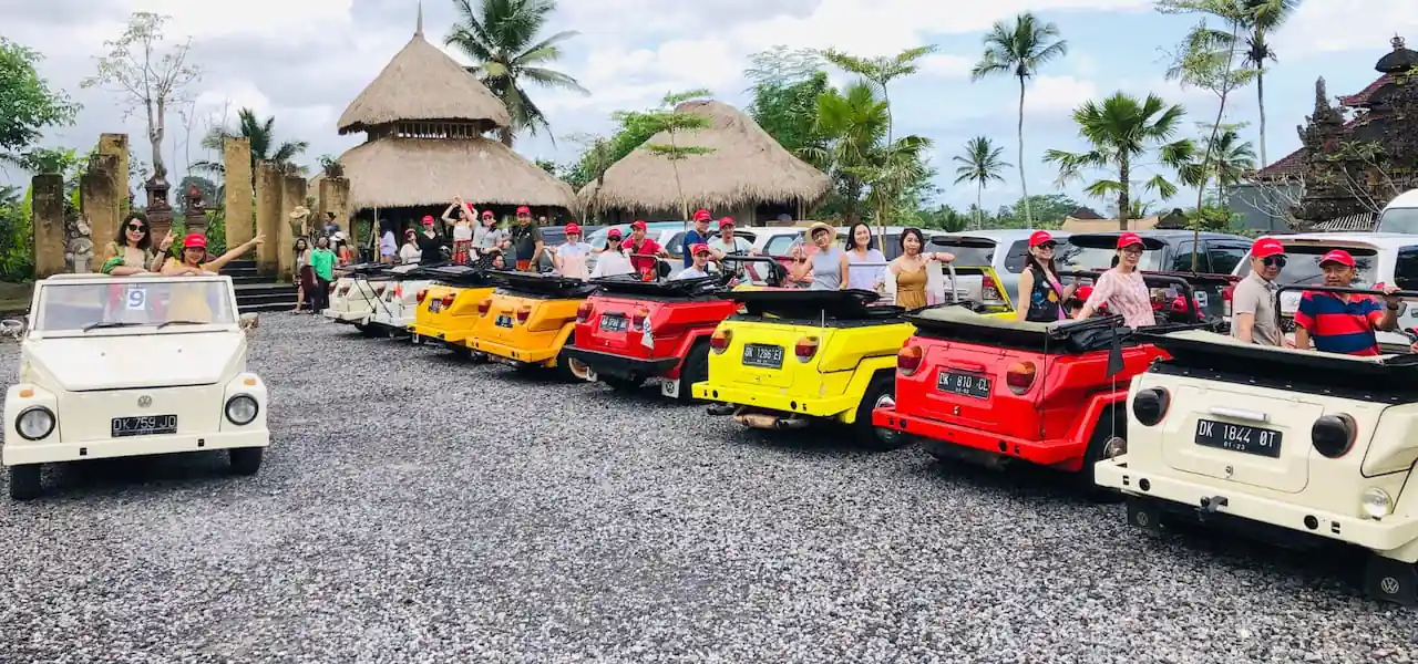 Đoàn công ty của Dong Thi Travel đi xe VW mui trần ở Bali
