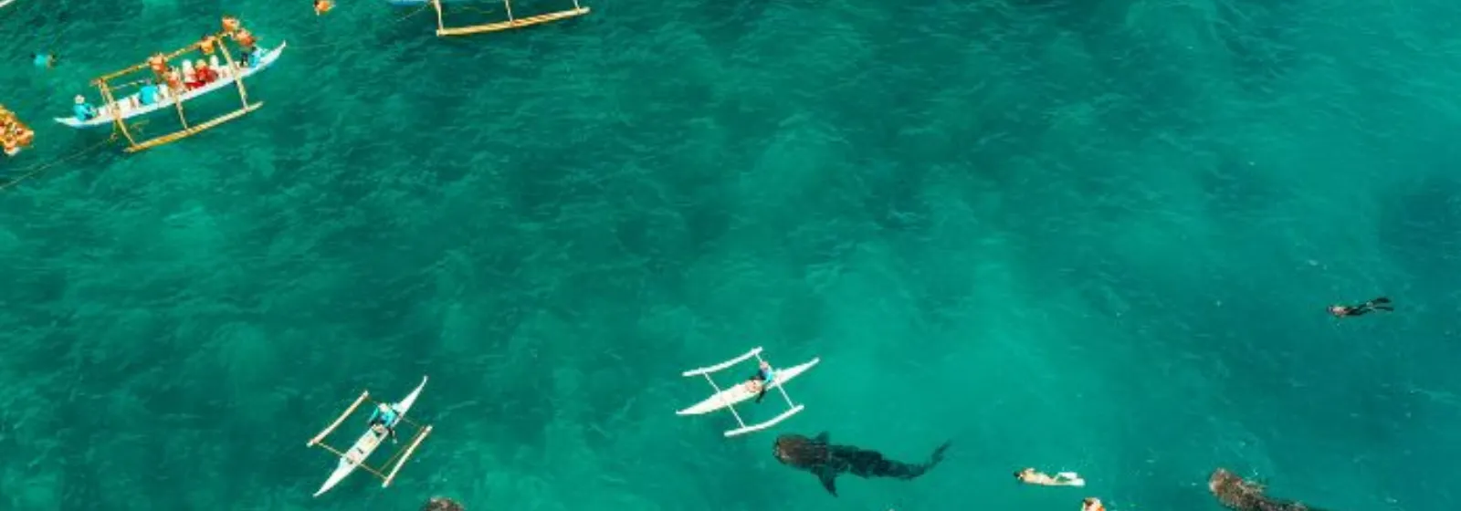 vi-tag-cebu-bg.webp