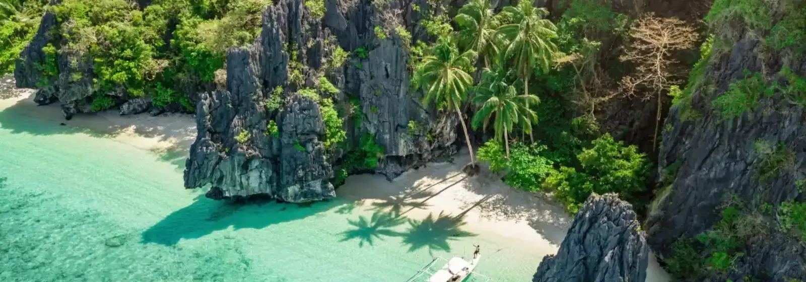 vi-tag-ke-hoach-philippines-bg.webp