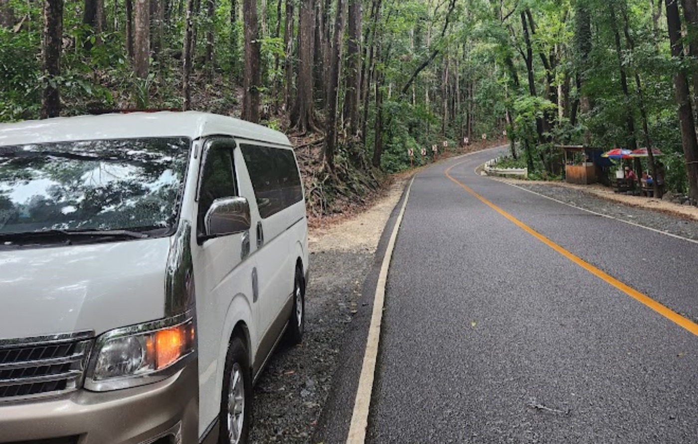 Rừng nhân tạo Bilar, Bohol