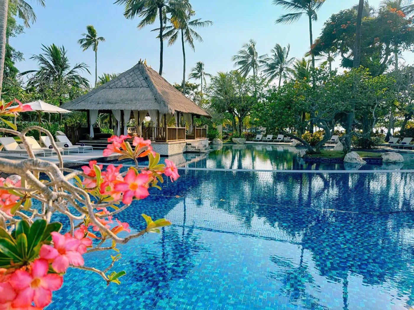 Hồ bơi và bale mái tranh giữa vườn dừa