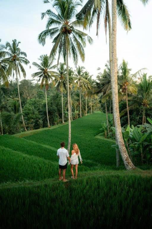 Đồi cỏ và hàng dừa gần resort